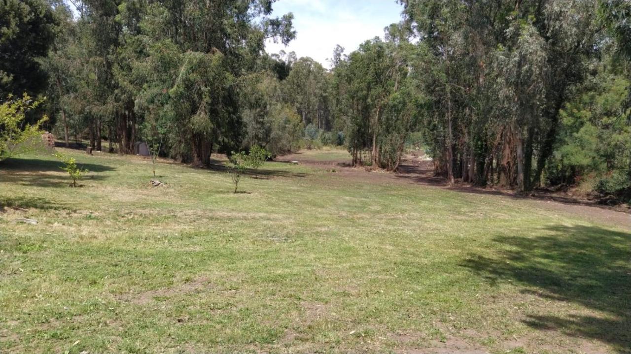 坦迪尔El Bosque De Las Animas别墅 外观 照片